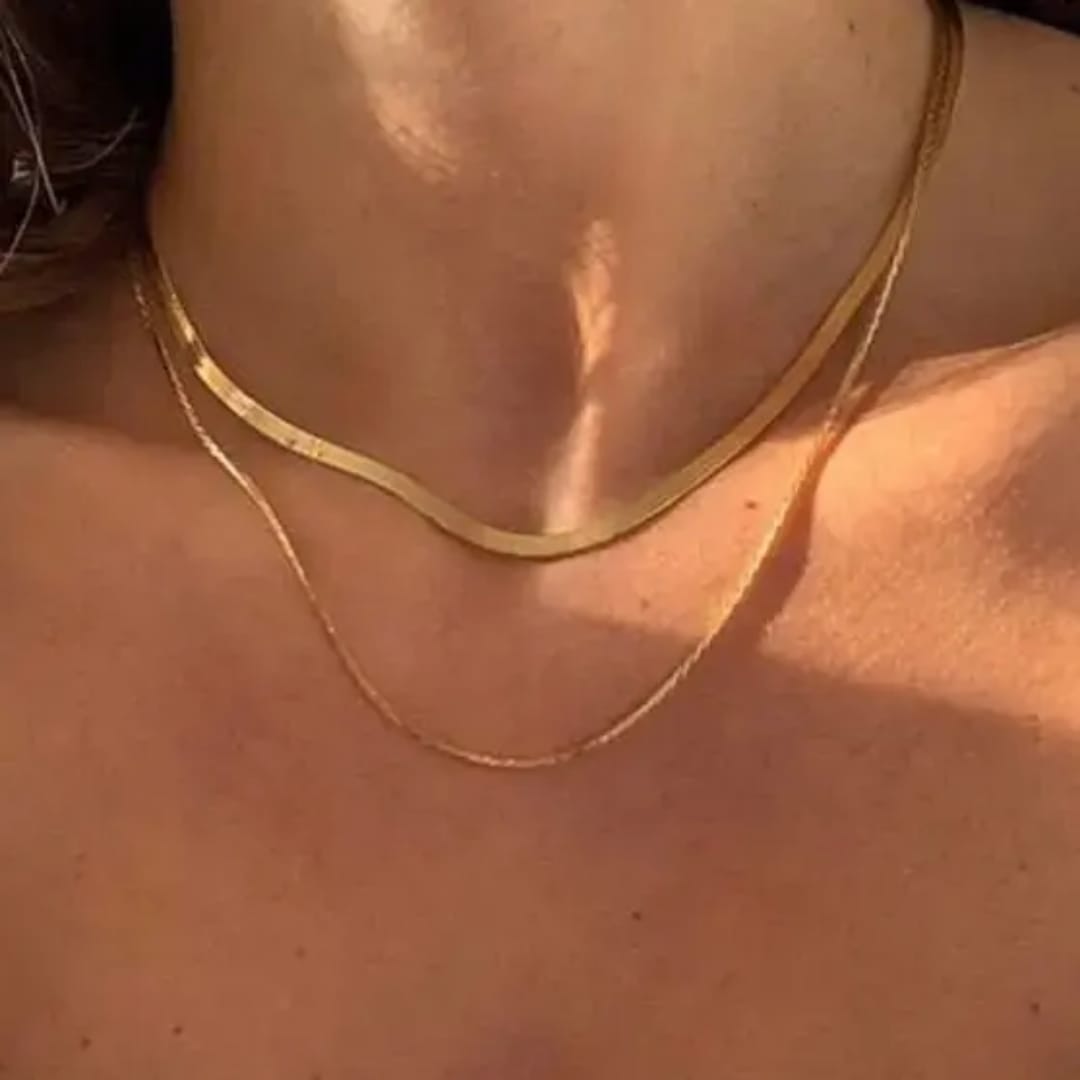 Double Layered Snake Chain Necklace