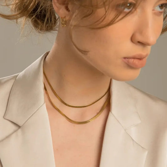 Double Layered Snake Chain Necklace